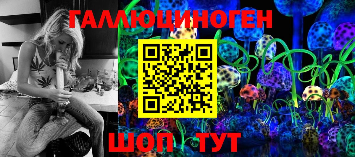 Псилоцибиновые грибы Cubensis Надым