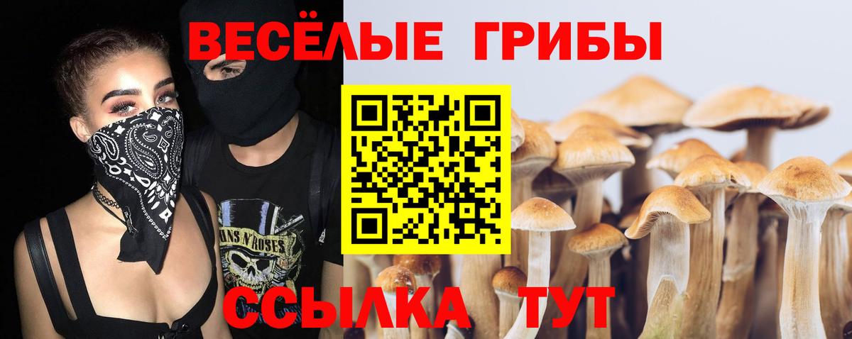 Надым  Псилоцибиновые грибы Psilocybine cubensis  Вход с VPN 